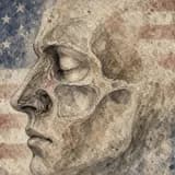 Painted side view of a face with the nasal cavity and sinus spaces shown in the skull, against a faded American-flag backdrop.