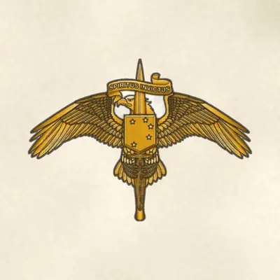 Marine Forces Special Operations Command (Marine Corps) unit insignia / logo, redrawn in ink and watercolor from the public-domain reference image