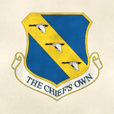 11th Wing (Air Force) organizational emblem, redrawn in ink and watercolor from the public-domain reference image